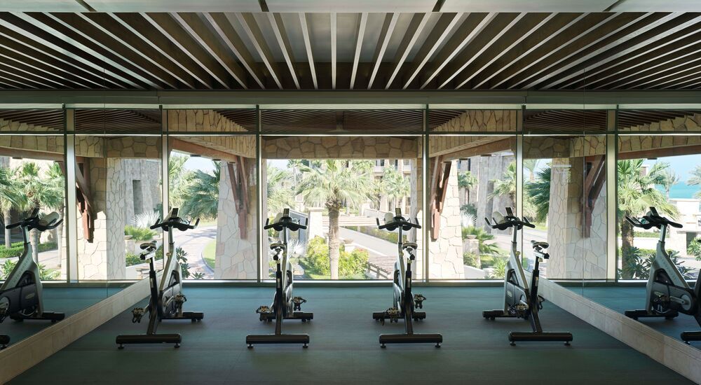 SOFITEL DUBAI THE PALM RESORT AND SPA  - 76