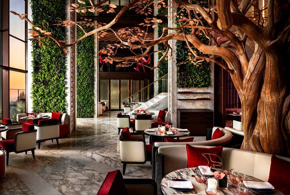 Картинка отеля - 50