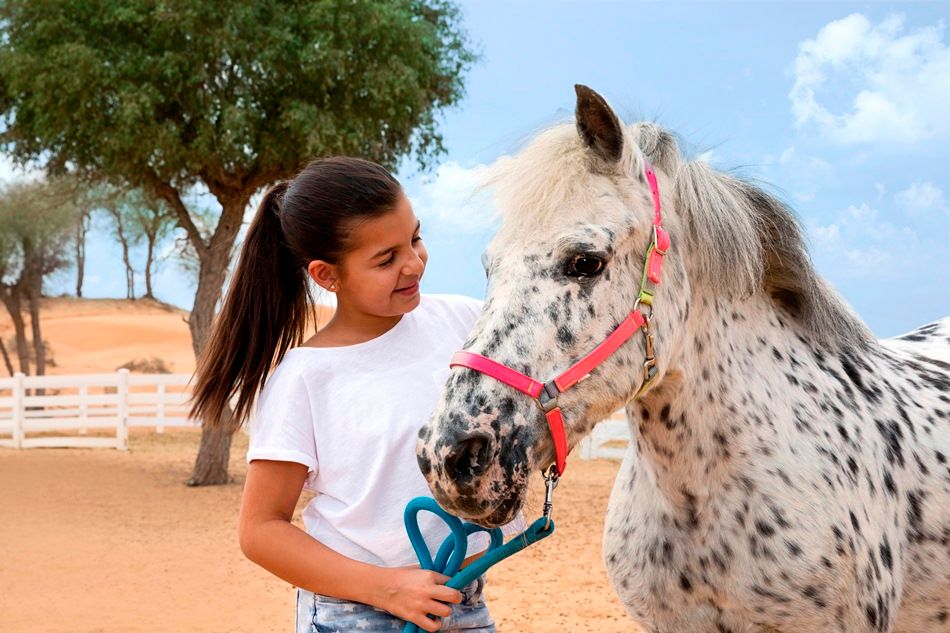 THE RITZ CARLTON RAS AL KHAIMAH, AL WADI DESERT - 75