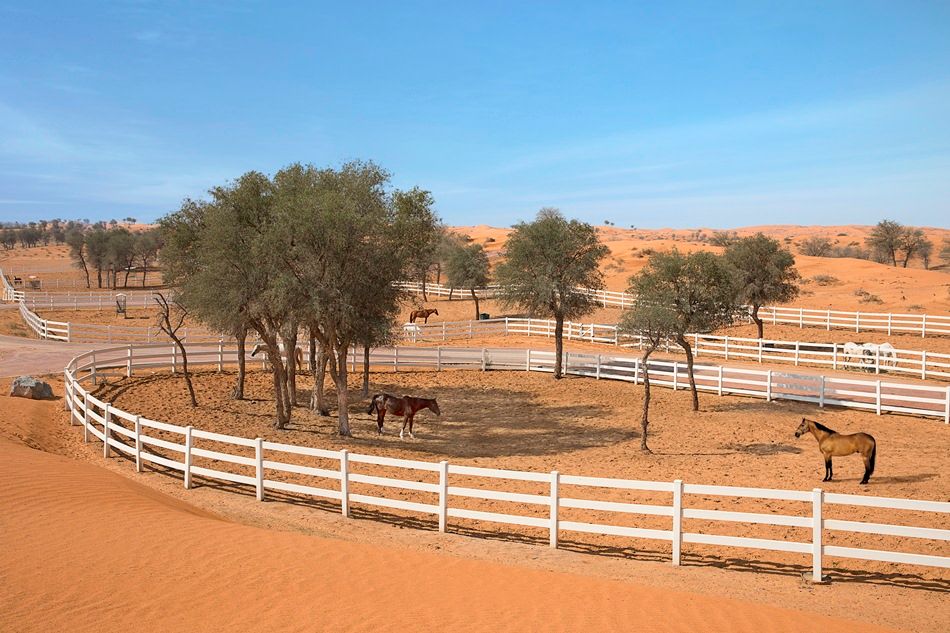 THE RITZ CARLTON RAS AL KHAIMAH, AL WADI DESERT - 74