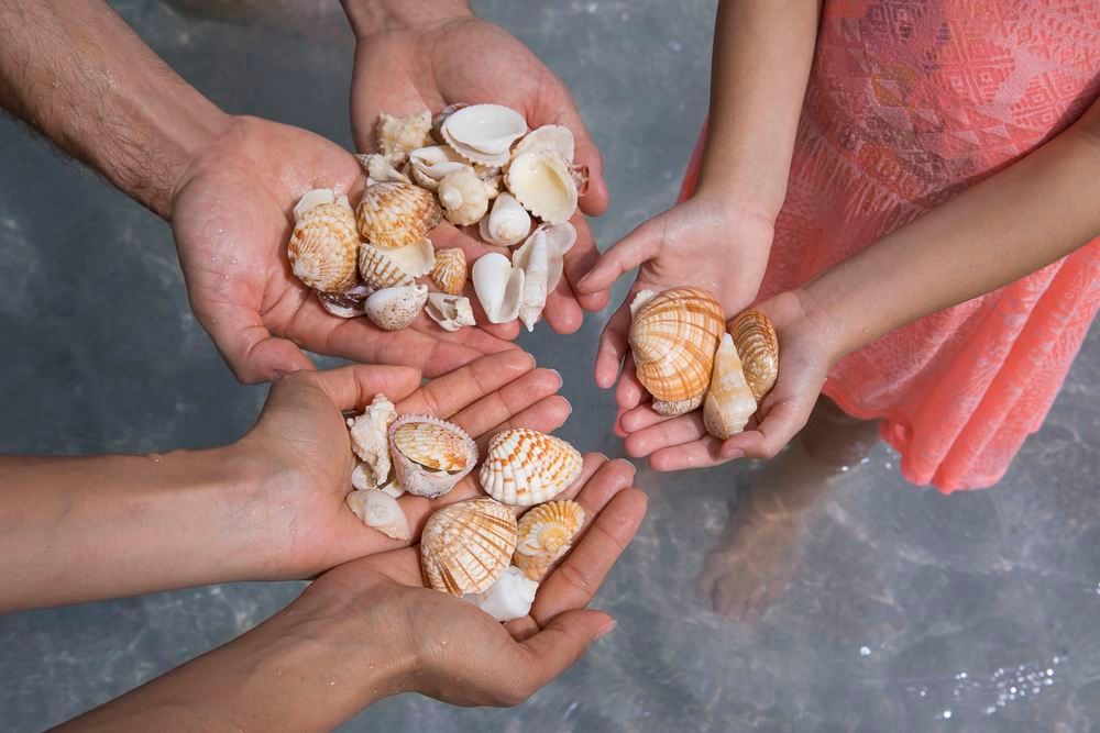 THE RITZ CARLTON RAS AL KHAIMAH AL HAMRA BEACH - 12