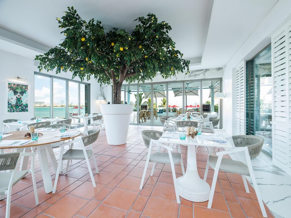 TH8 PALM DUBAI BEACH RESORT VIGNETTE COLLECTION - 11