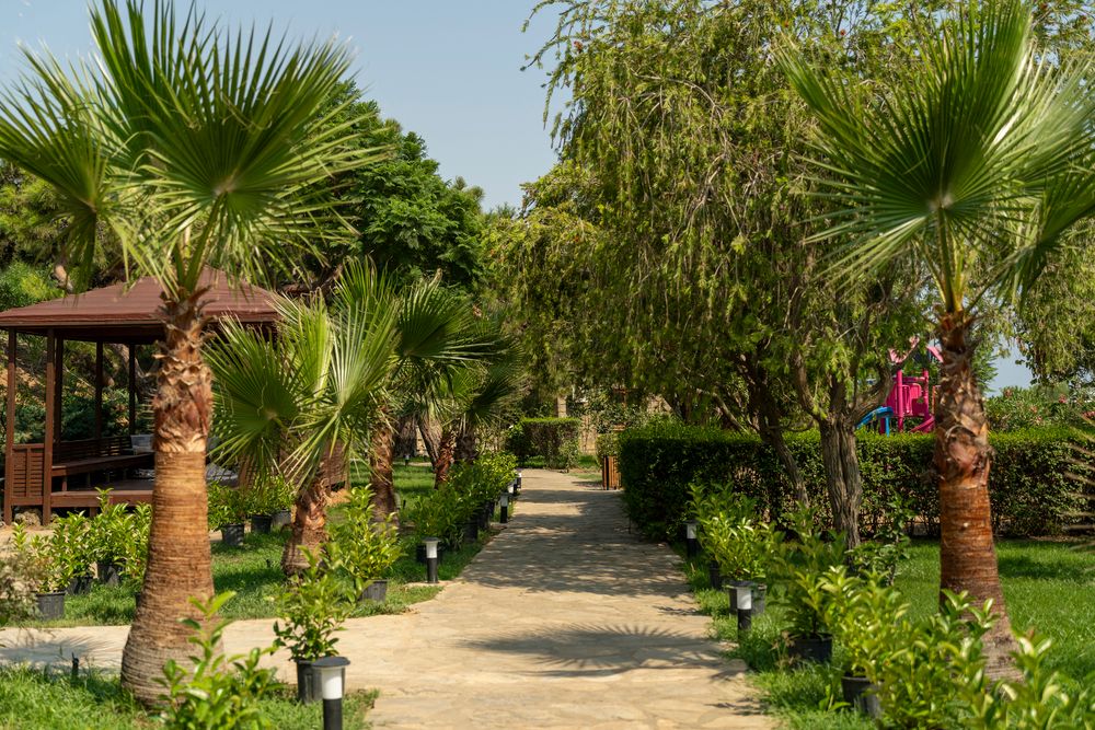 Casa Fora Beach Resort - 24