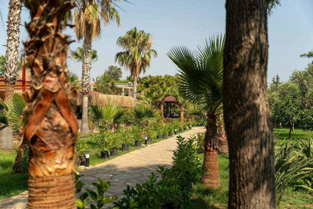 Картинка отеля - 28