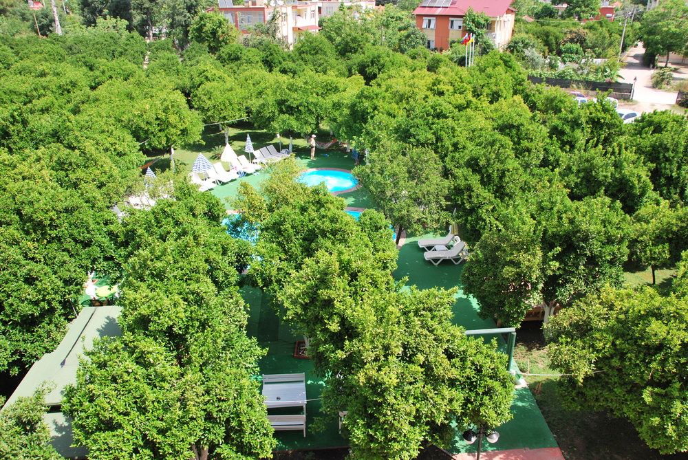 Картинка отеля - 10