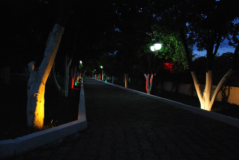 Картинка отеля - 9