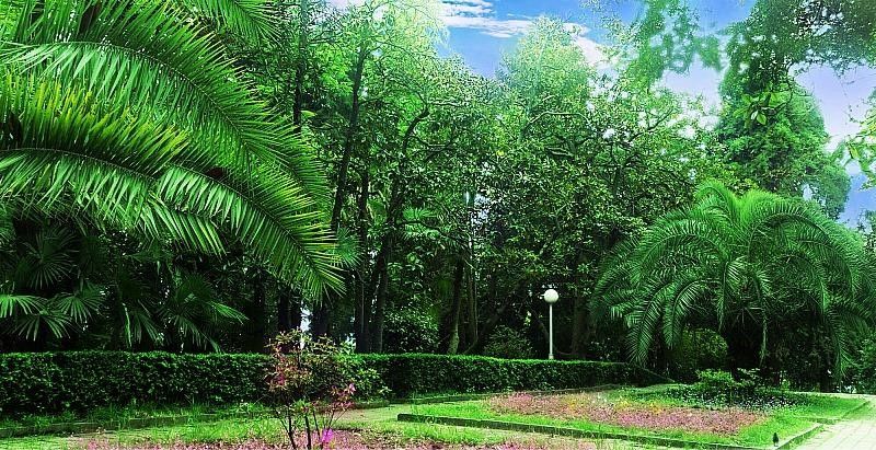 СОЧИНСКИЙ, санаторий - 4