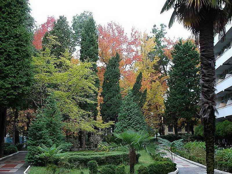 Картинка отеля - 3