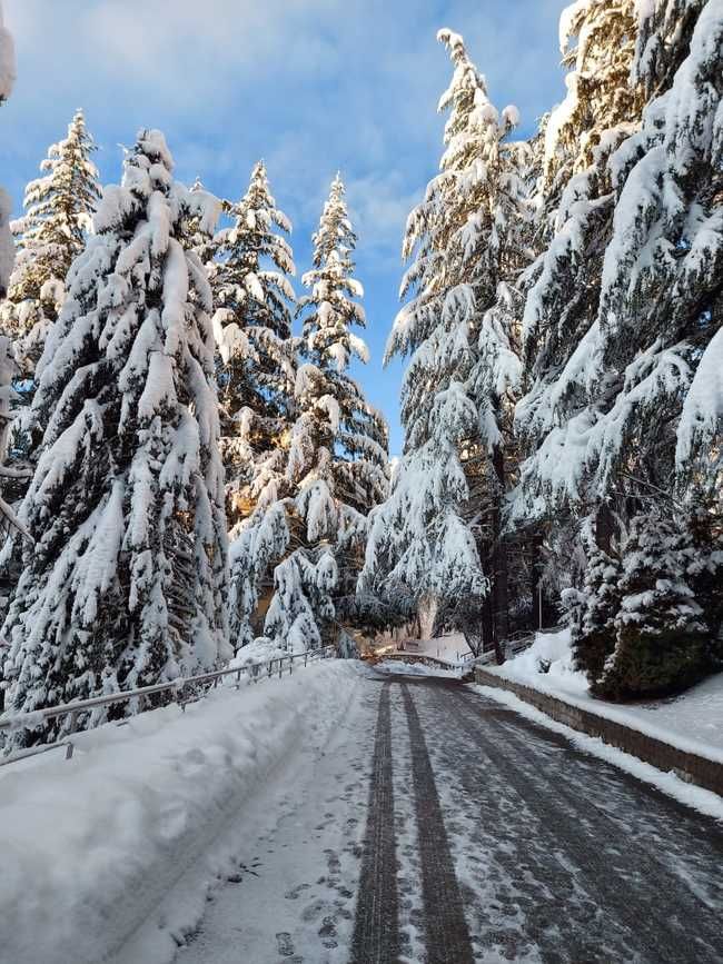 КРАСНАЯ ПОЛЯНА, база отдыха - 10