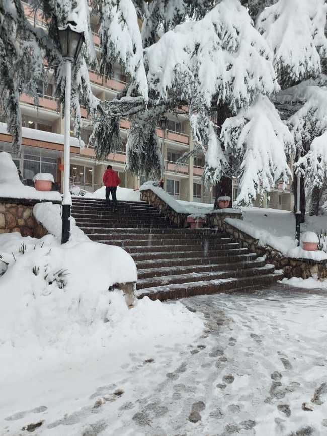 Картинка отеля - 6