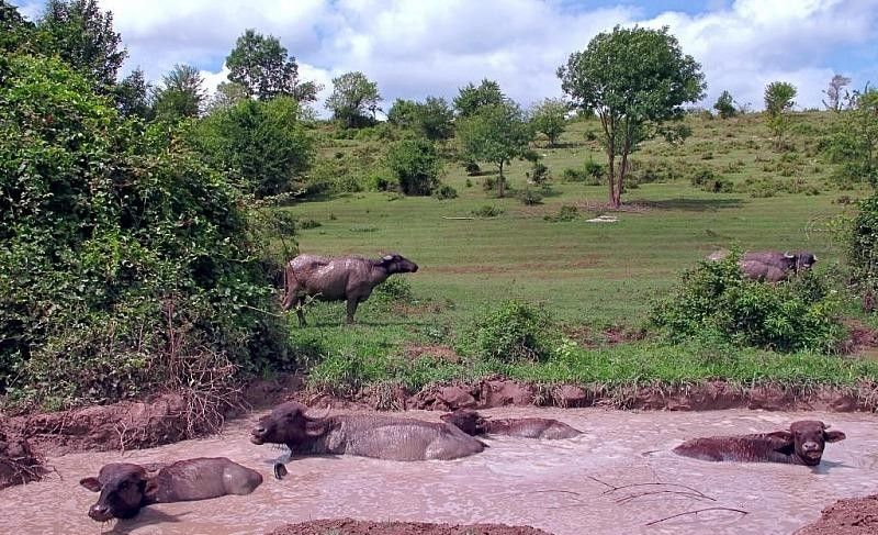 КРАСНАЯ ПОЛЯНА, база отдыха - 19