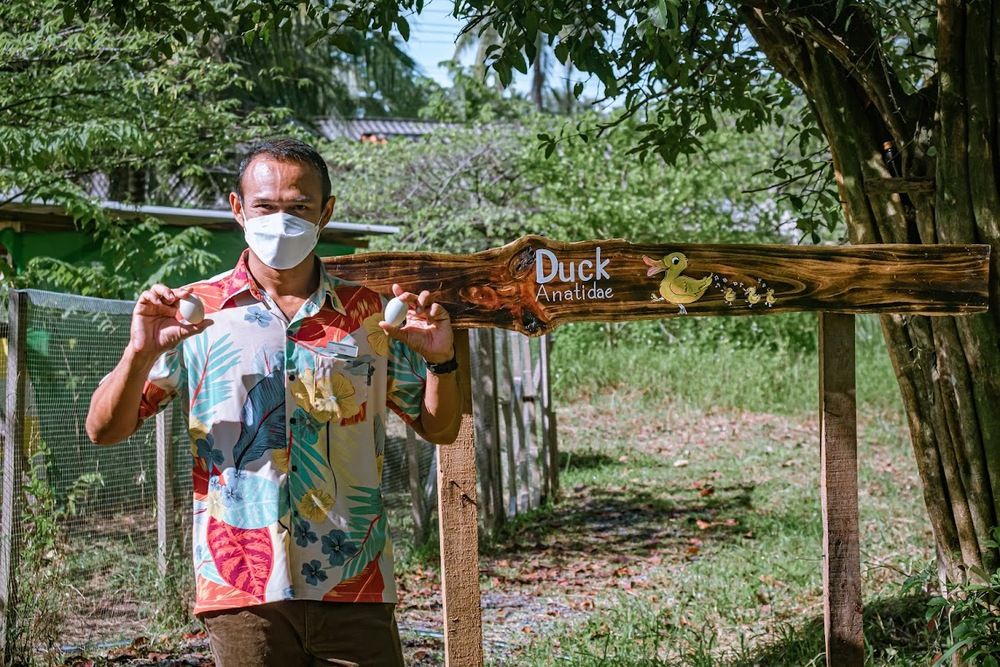 Картинка отеля - 53