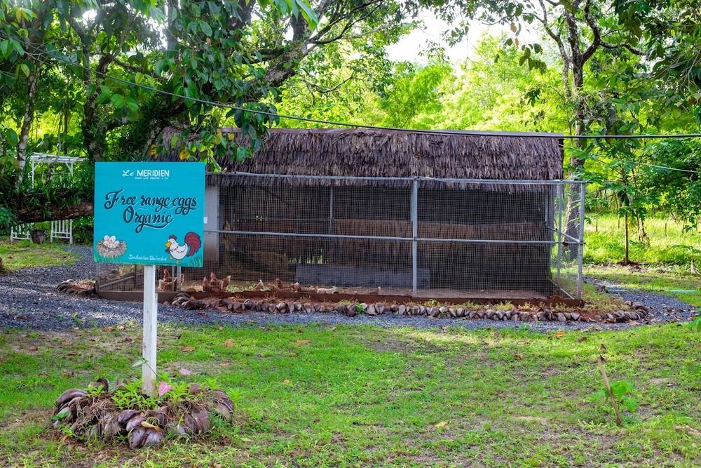 Картинка отеля - 16