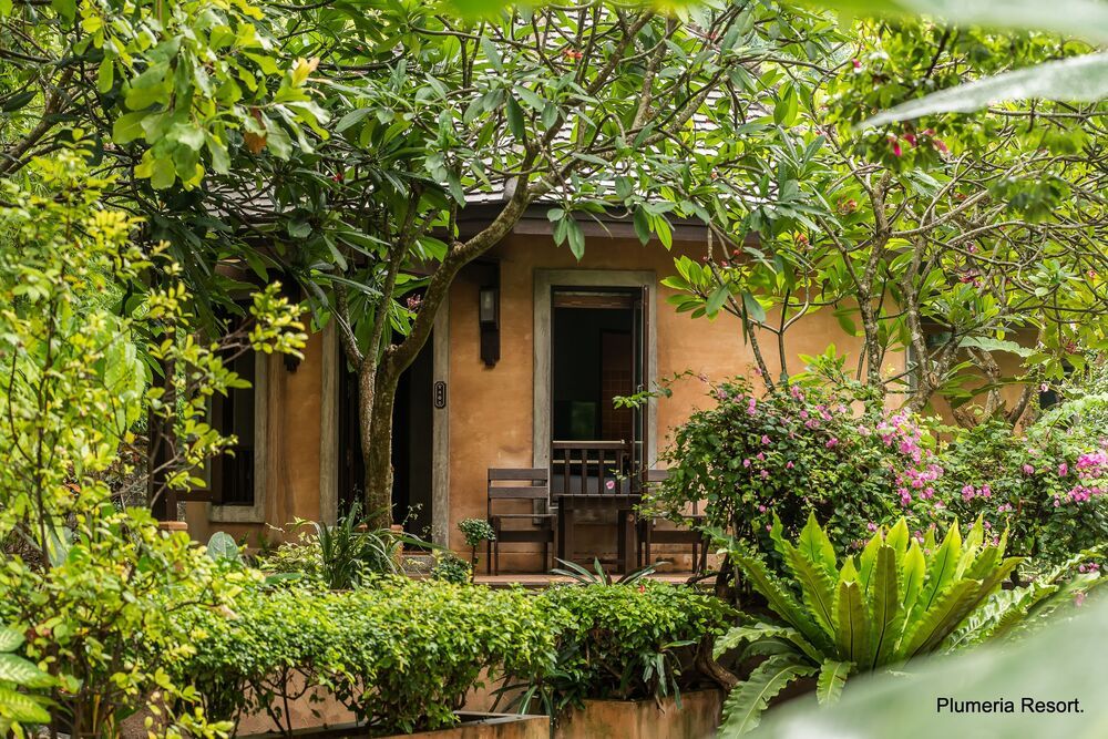 PLUMERIA RESORT PATTAYA - 9