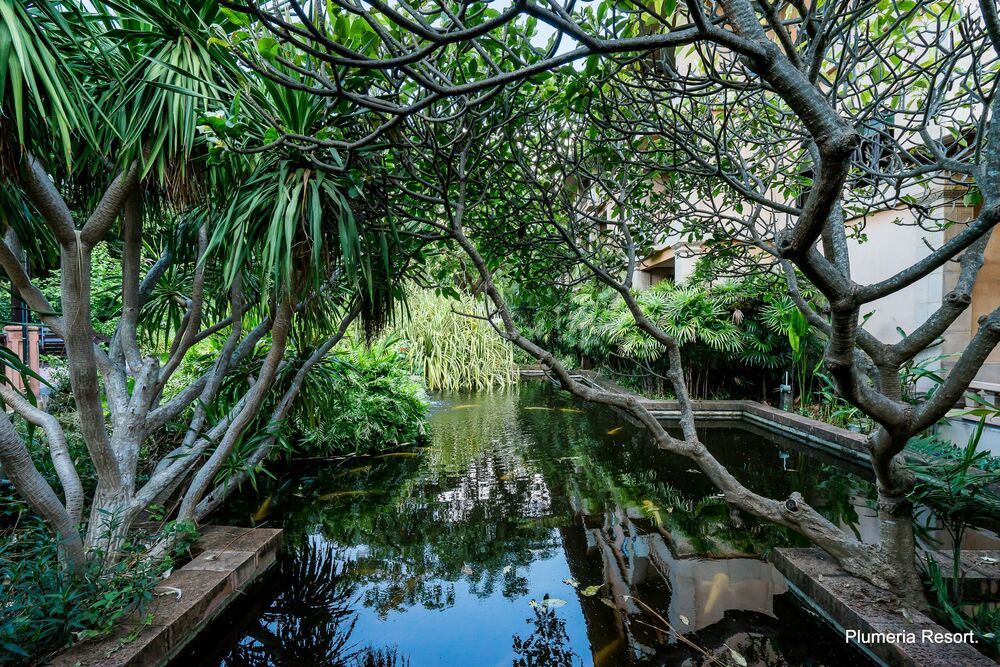 PLUMERIA RESORT PATTAYA - 14