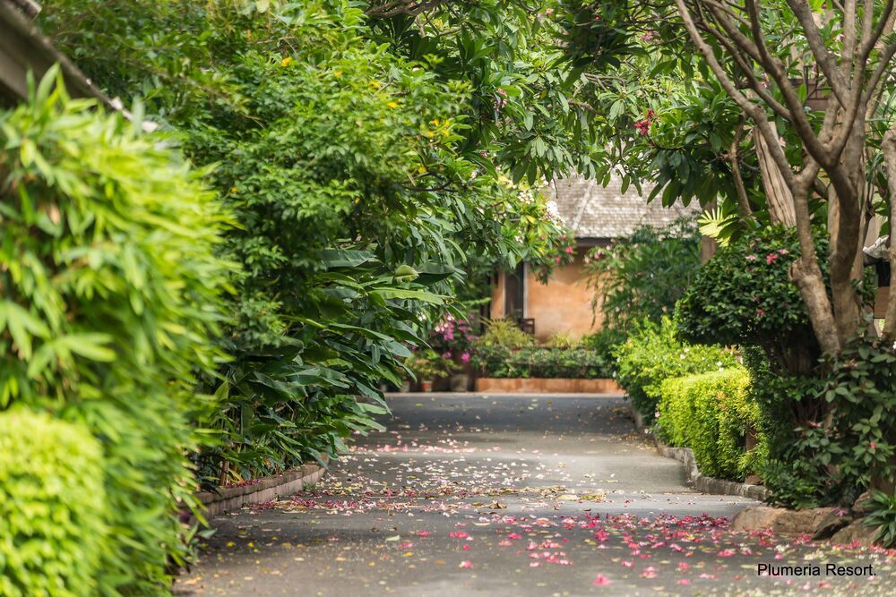 PLUMERIA RESORT PATTAYA - 8