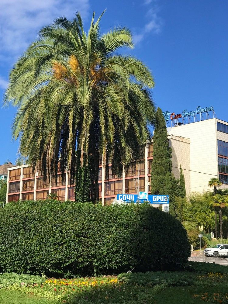 СОЧИ-БРИЗ, отель - 3