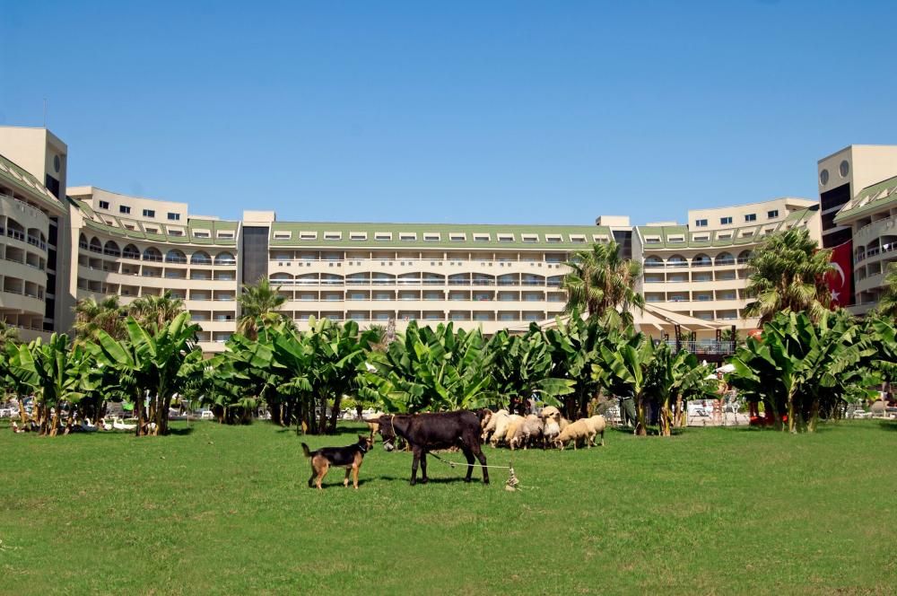 Картинка отеля - 17