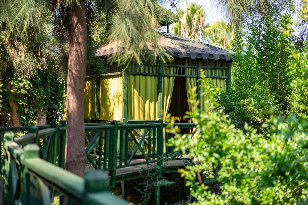 Картинка отеля - 69