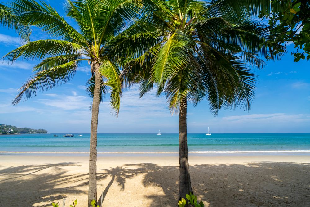 SUNWING  KAMALA BEACH - 7