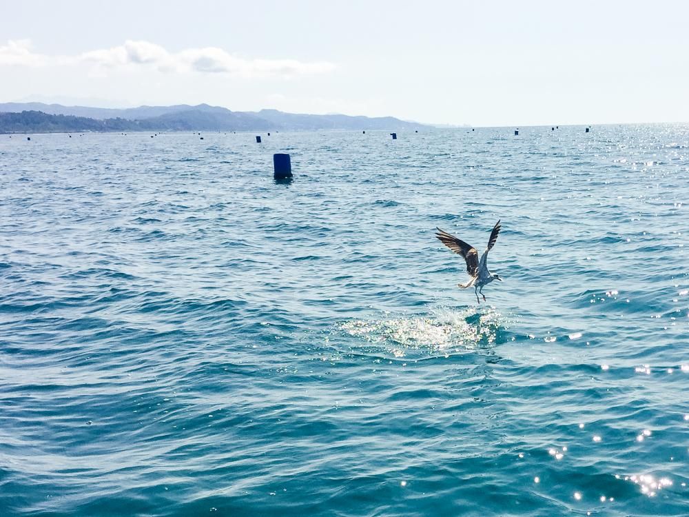 Картинка отеля - 37