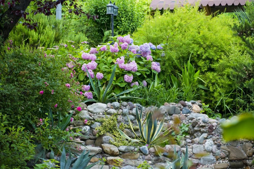 Картинка отеля - 33