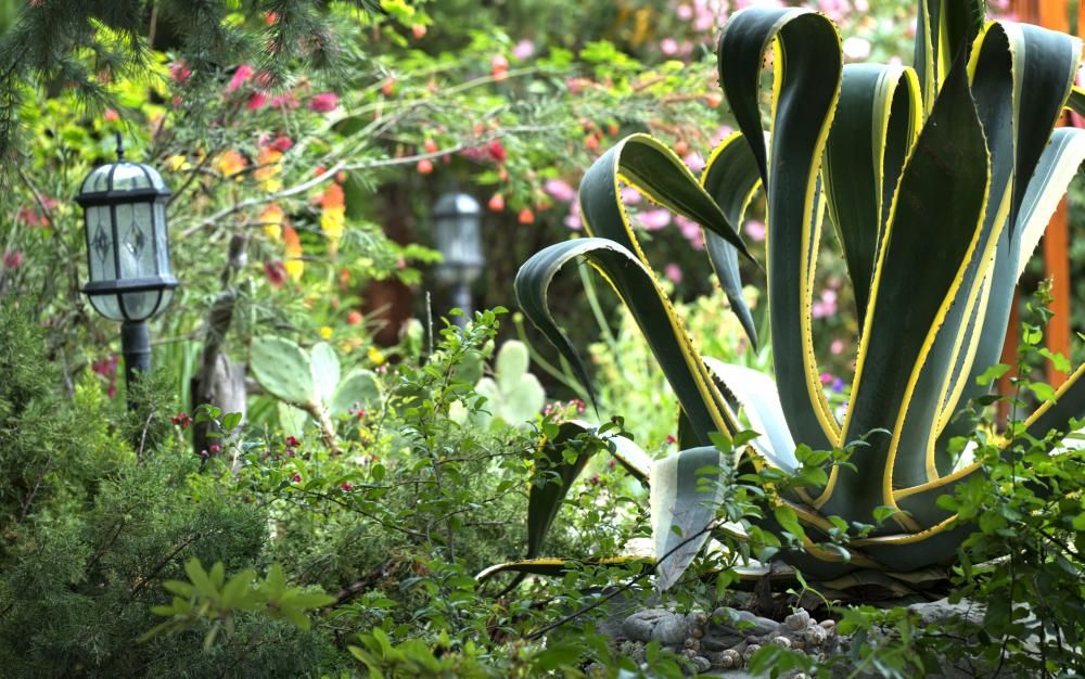 Картинка отеля - 30