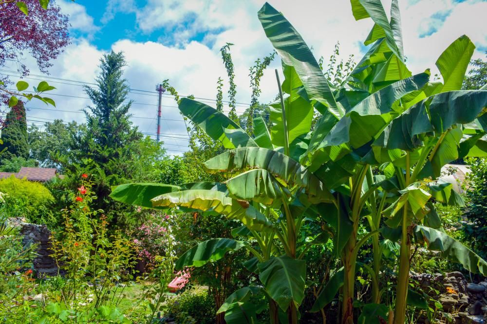 Картинка отеля - 28