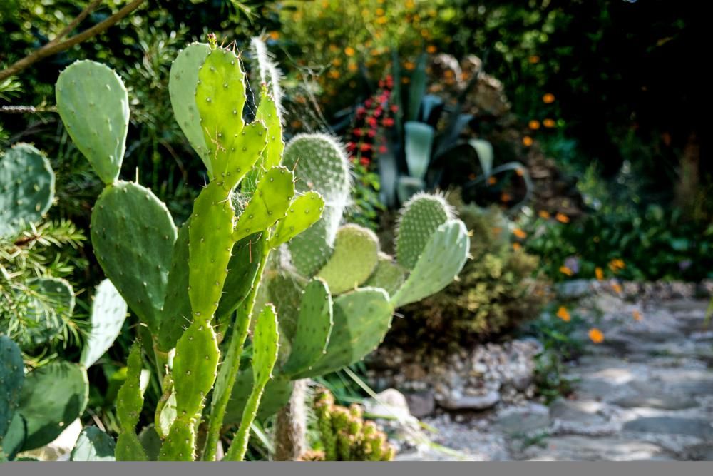 Картинка отеля - 21