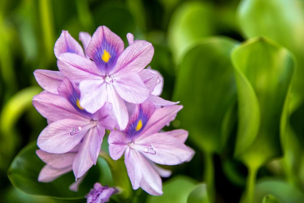 Картинка отеля - 27