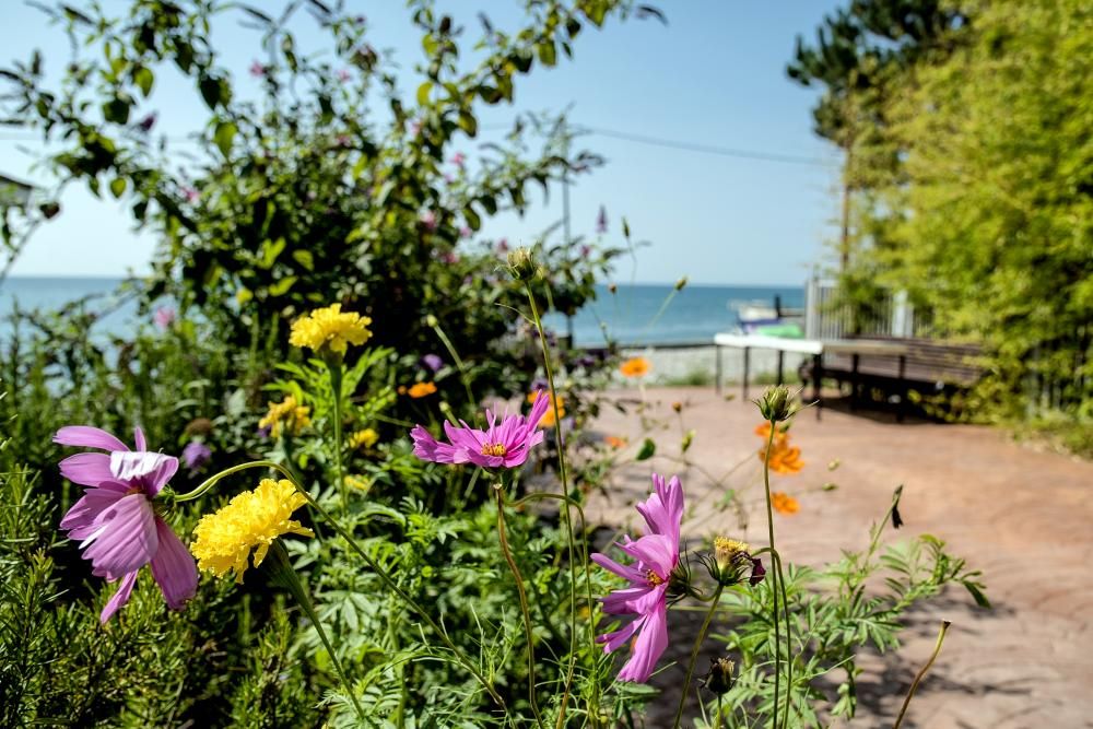 Картинка отеля - 23