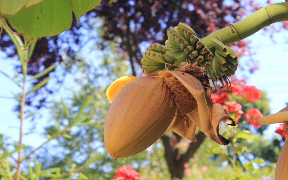 Картинка отеля - 22