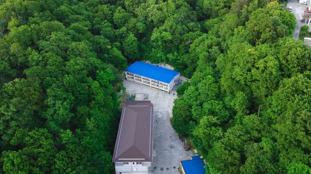 АТЕЛИКА ЛЕСНАЯ БУХТА (бывш. СИГНАЛ), курортный отель - 4