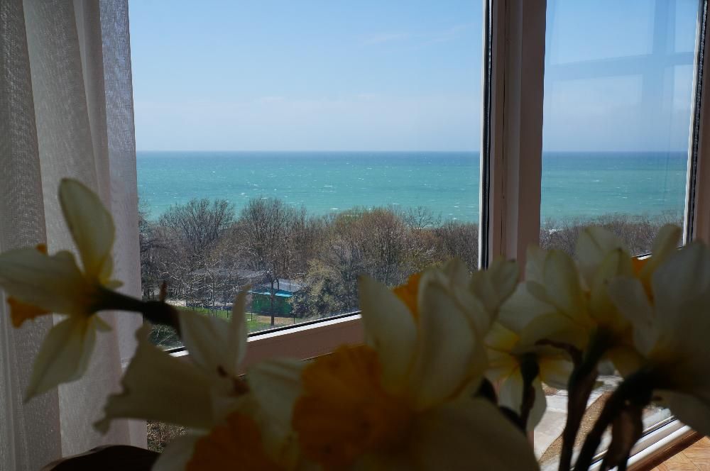 АТЕЛИКА ЛЕСНАЯ БУХТА (бывш. СИГНАЛ), курортный отель - 42