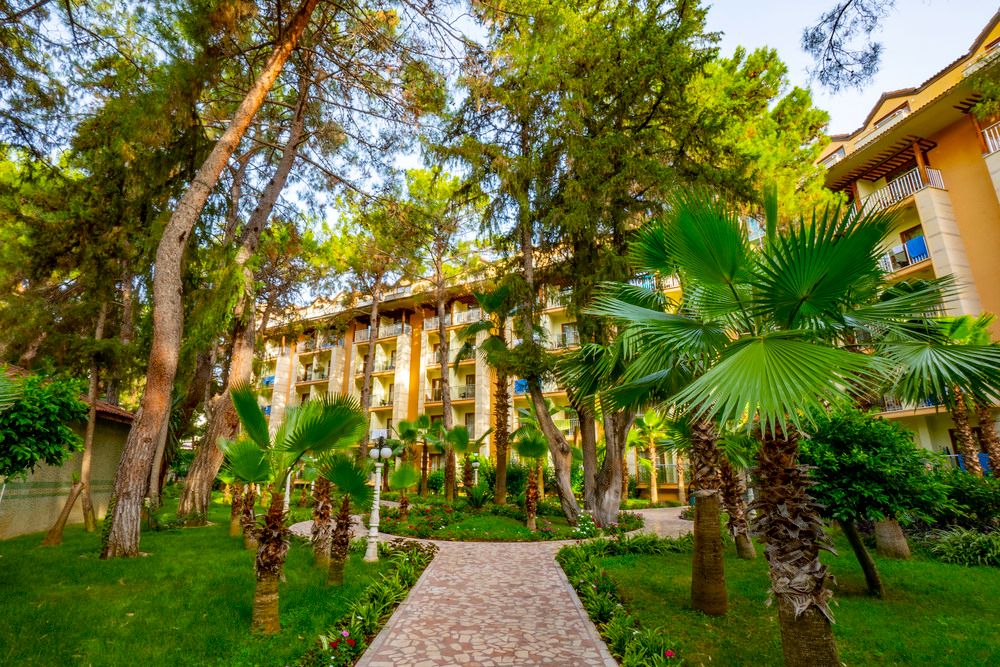 Armas Kaplan Paradise - 12