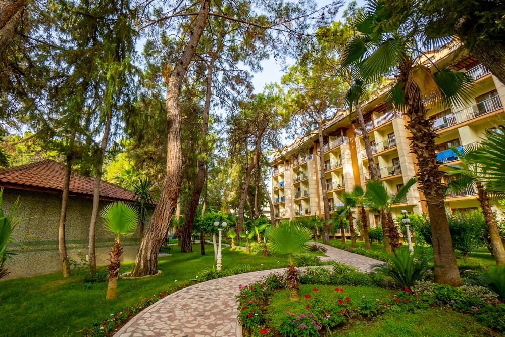 Armas Kaplan Paradise - 10