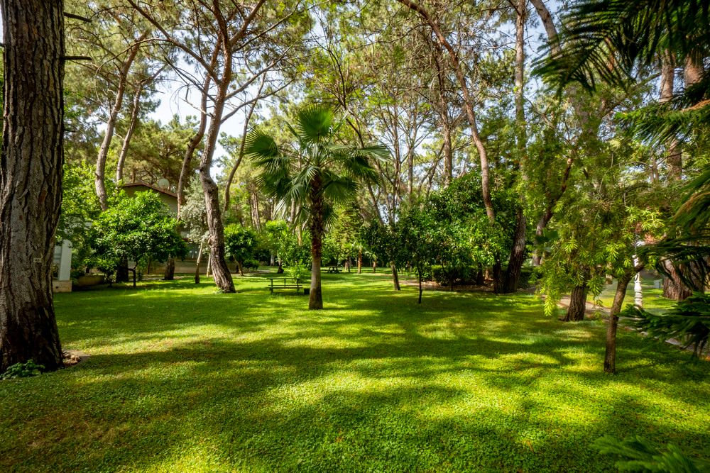 Картинка отеля - 15