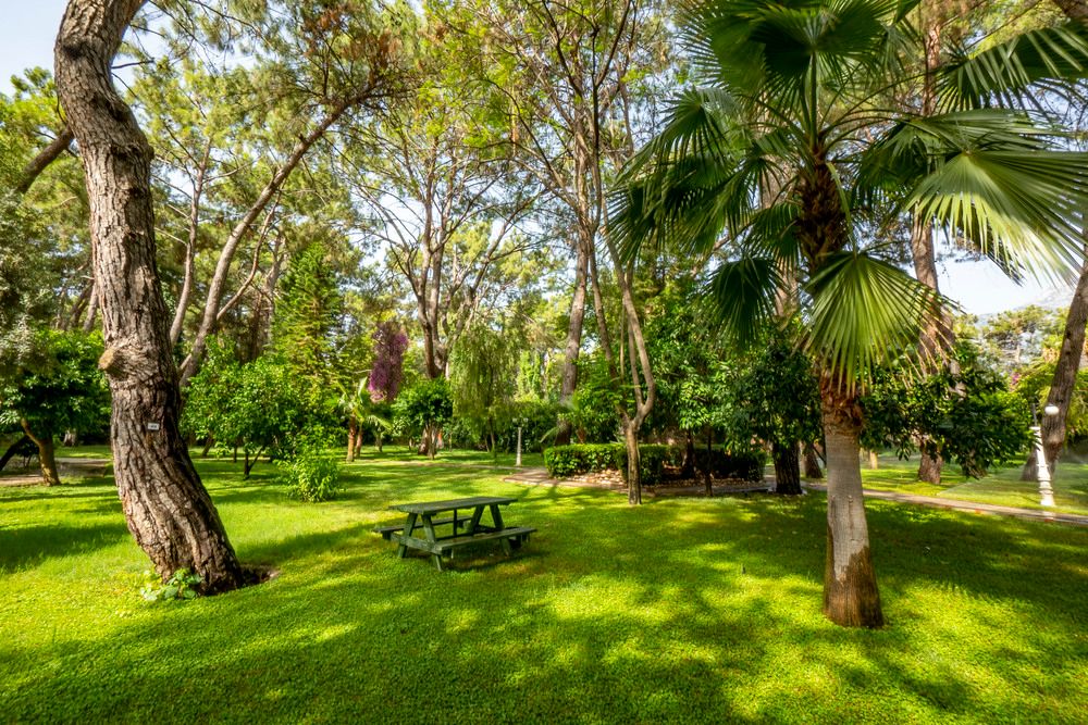 Картинка отеля - 14