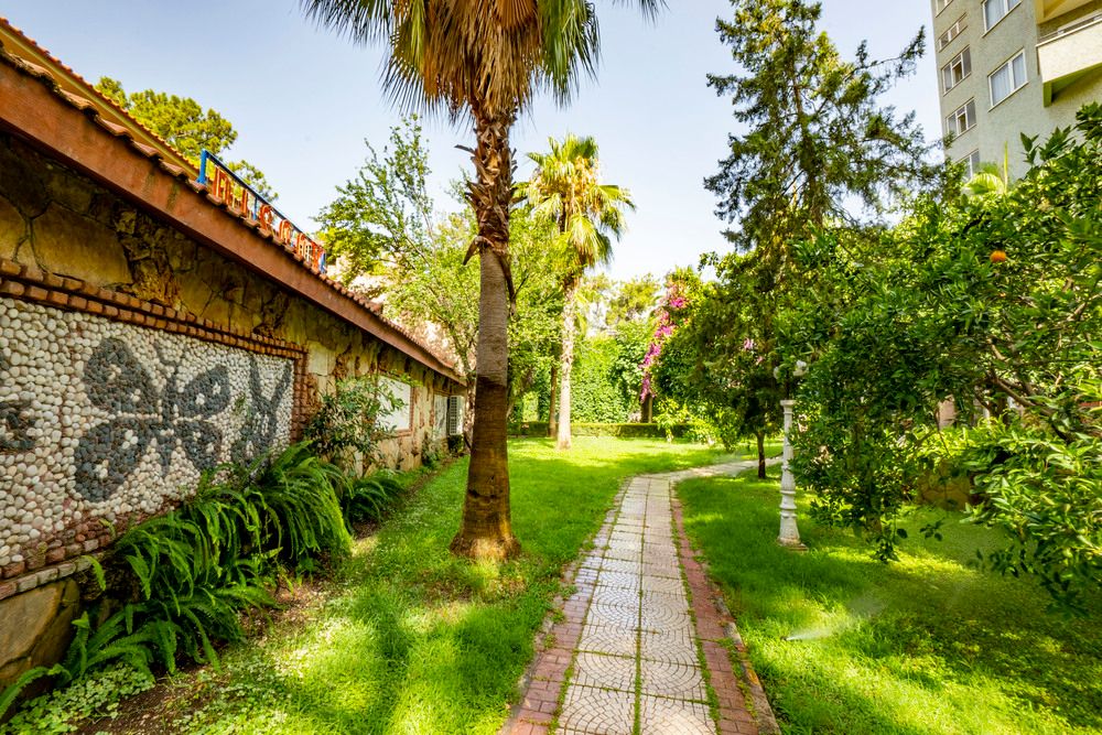 Armas Kaplan Paradise - 13