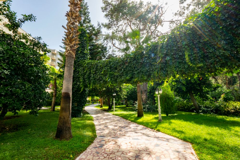 Armas Kaplan Paradise - 17