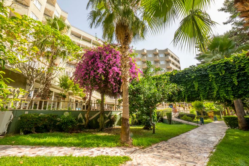 Armas Kaplan Paradise - 4