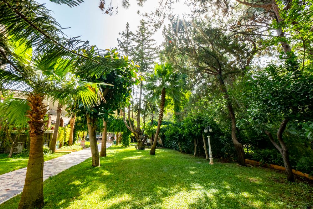 Картинка отеля - 18