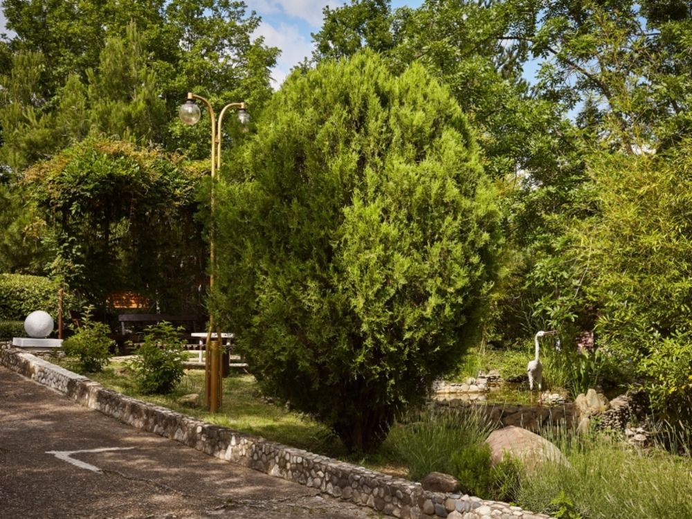 Картинка отеля - 18