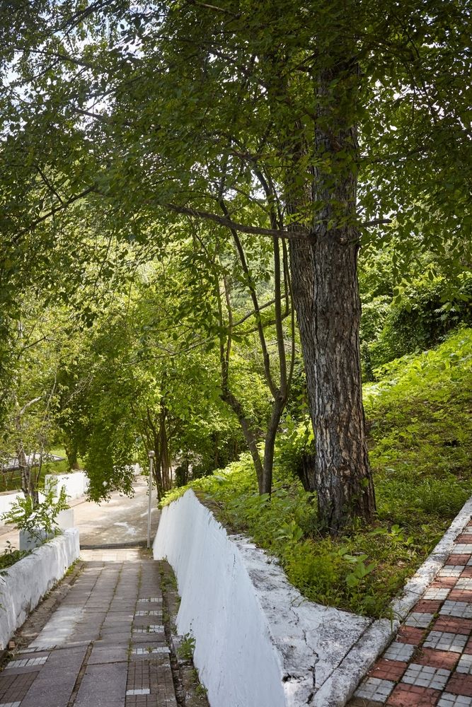 Картинка отеля - 19