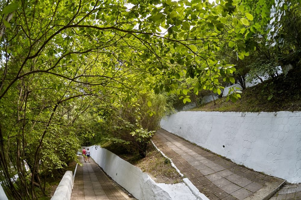 Картинка отеля - 16