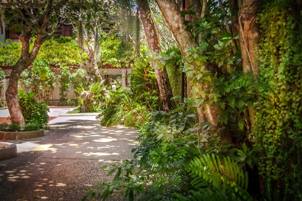 THAVORN BEACH VILLAGE & SPA - 8