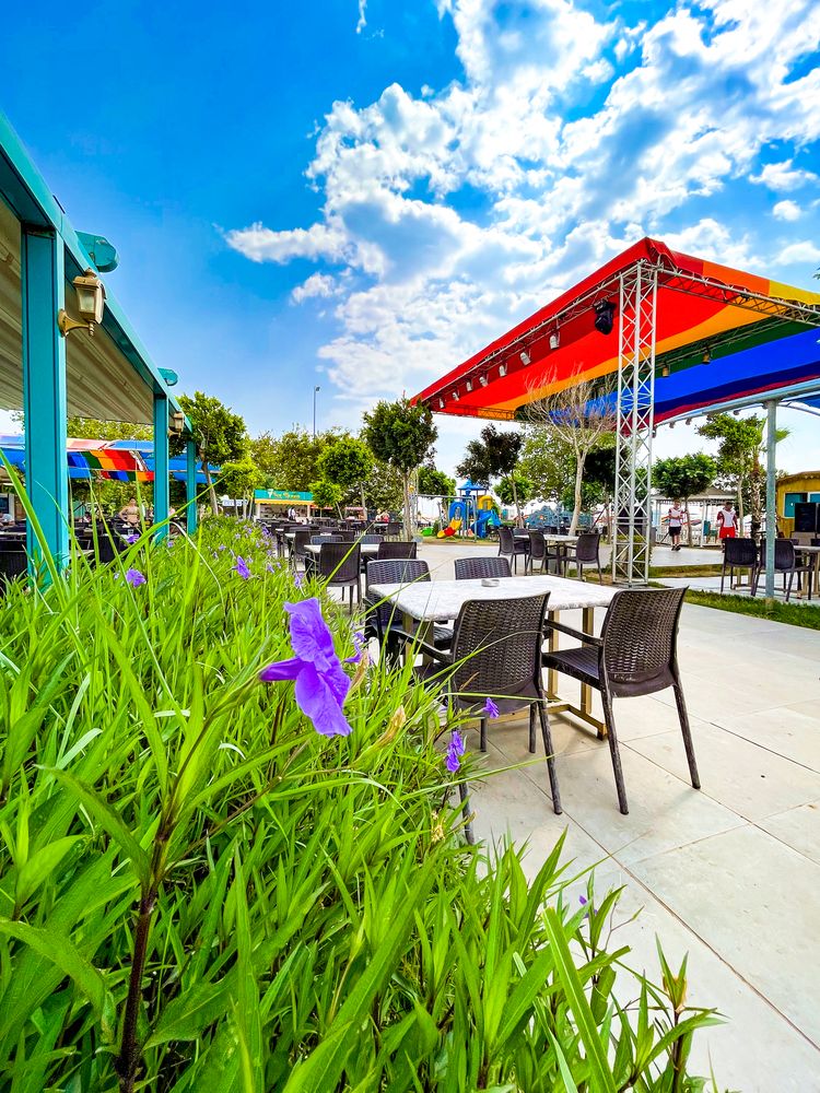 Картинка отеля - 29