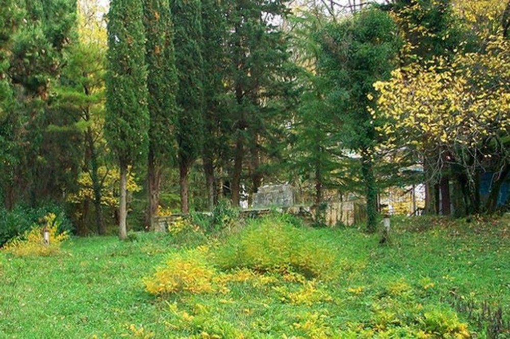 ГИЗЕЛЬ-ДЕРЕ, пансионат - 3