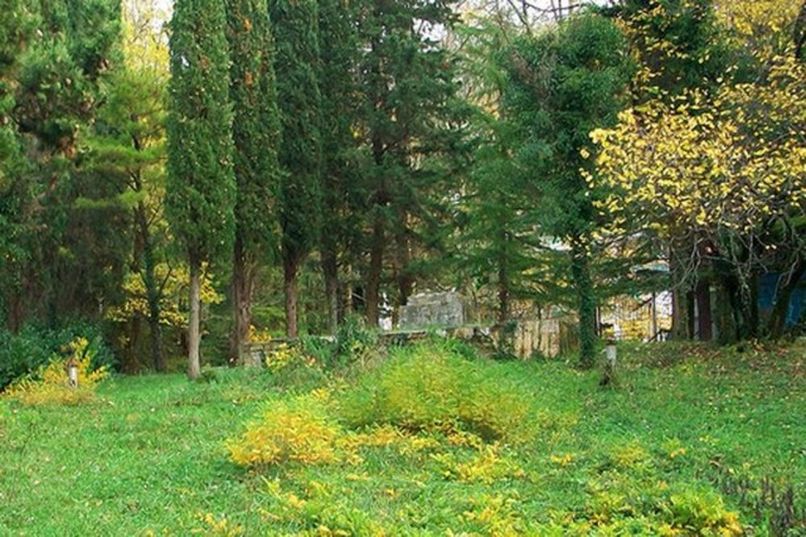 ГИЗЕЛЬ-ДЕРЕ, пансионат - 3