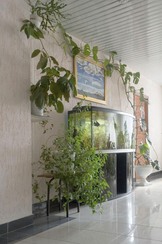 ИМПЕРИАЛ, отель - 4